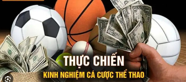 Một số kinh nghiệm chơi cá cược từ cao thủ